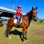 Michelle’s Saddling up for Success